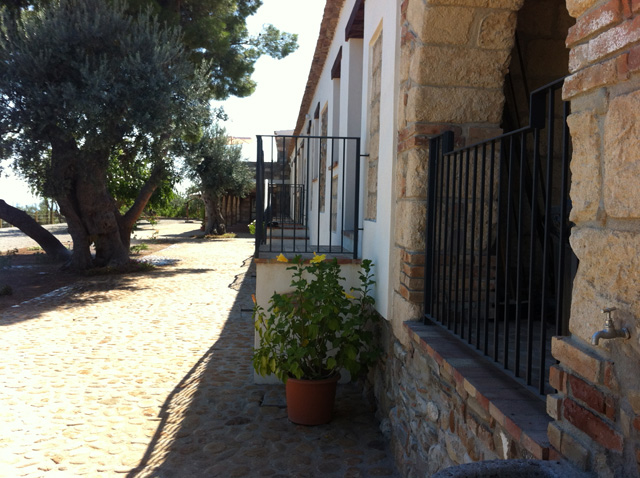 Vista della tenuta 20