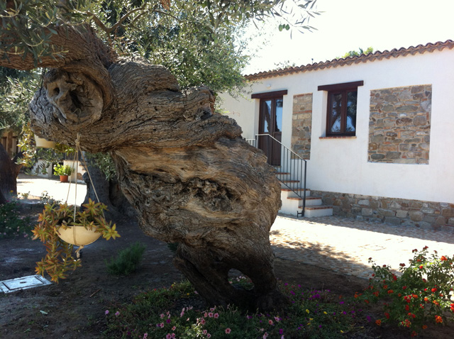 Vista della tenuta 21