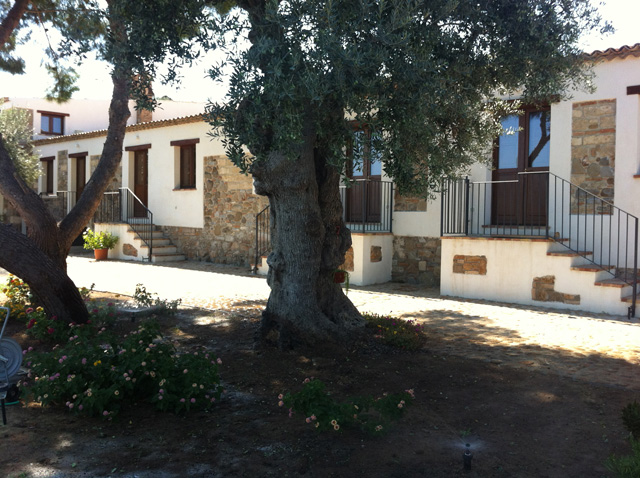 Vista della tenuta 22