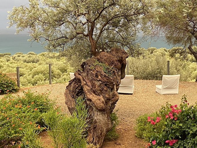 Vista della tenuta 27