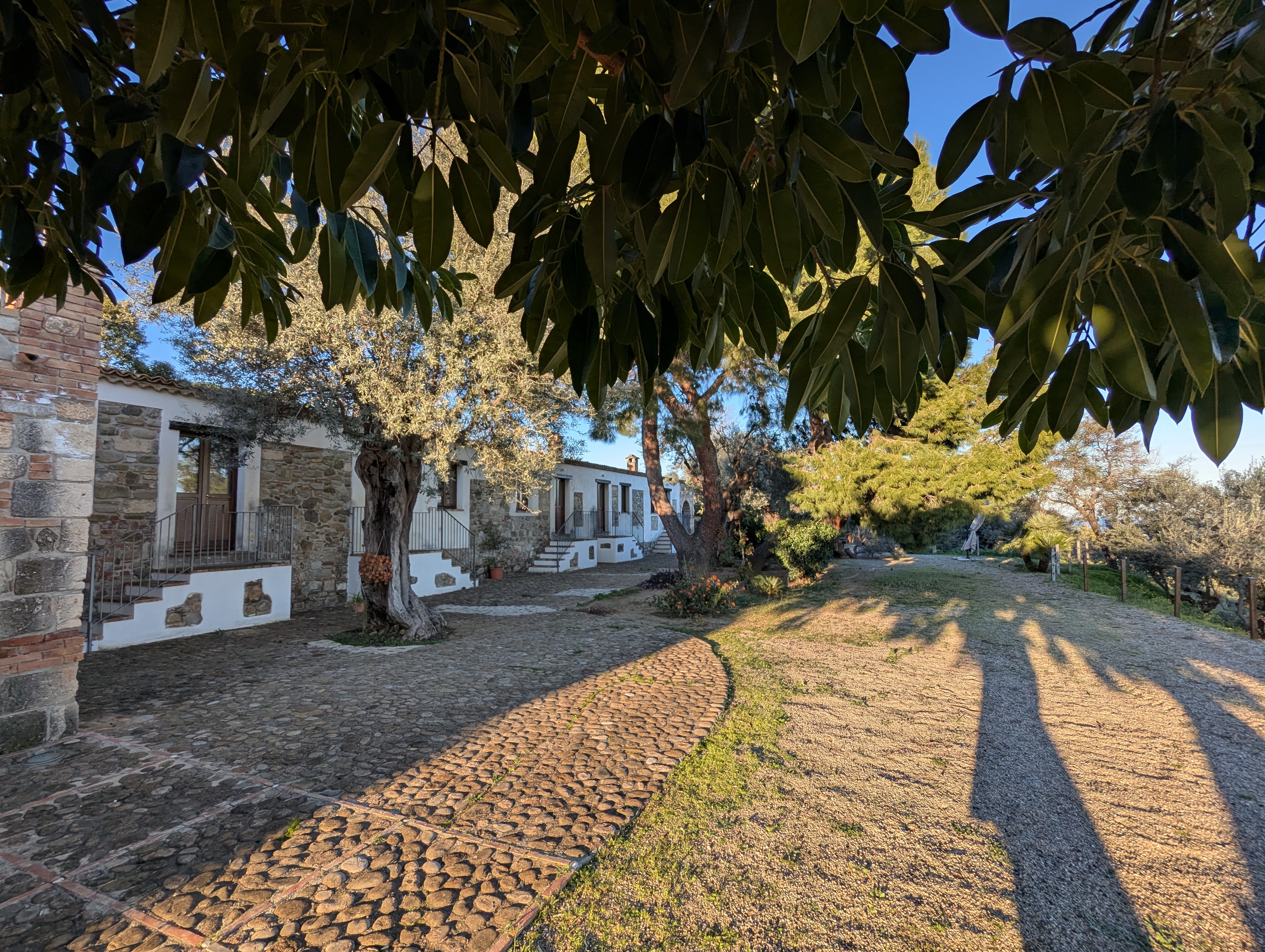 Vista della tenuta 5